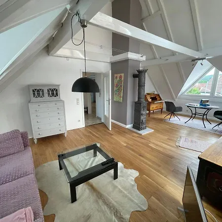 Gaensebluemchen 2 Daisy 2 Walsdorf (Bavaria)