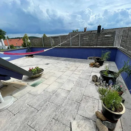 Gaensebluemchen 2 Daisy 2 Walsdorf (Bavaria)