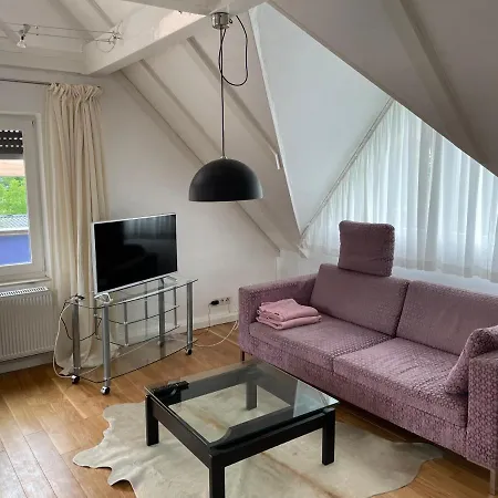 Gaensebluemchen 2 Daisy 2 Daire