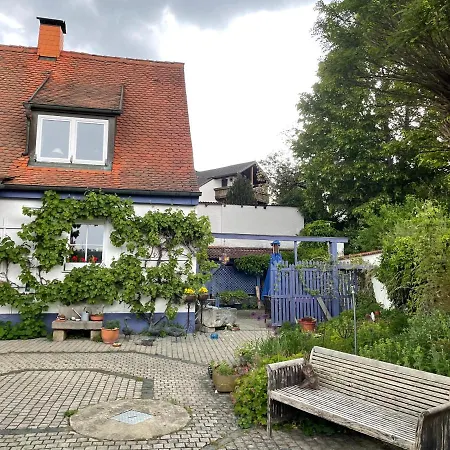 Gaensebluemchen 2 Daisy 2 Walsdorf (Bavaria)