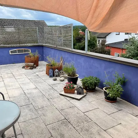 Gaensebluemchen 2 Daisy 2 Daire Walsdorf (Bavaria)