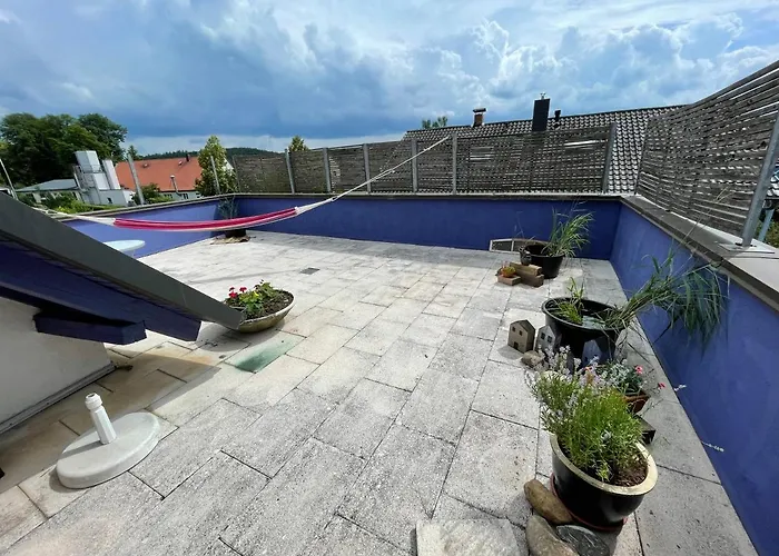 Gaensebluemchen 2 Daisy 2 Walsdorf (Bavaria)