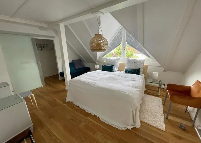 Gaensebluemchen 2 Daisy 2 * Walsdorf (Bavaria)